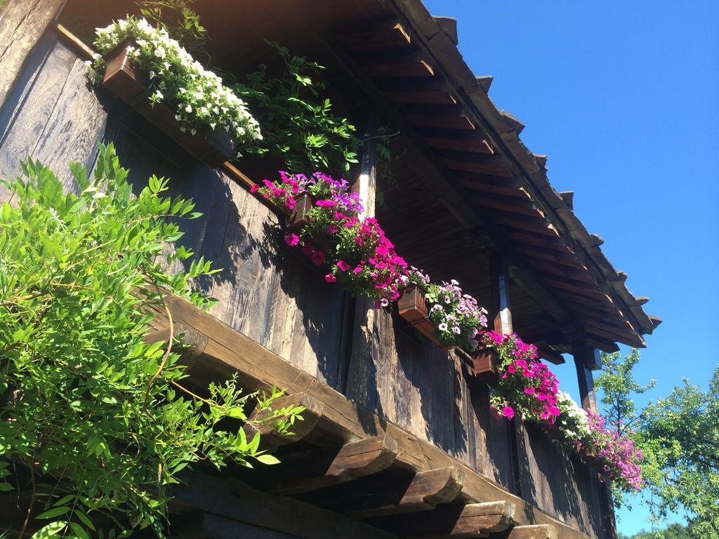 Stefanina Guesthouse Bozhentsi Exterior photo