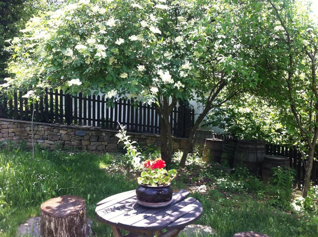 Stefanina Guesthouse Bozhentsi Exterior photo