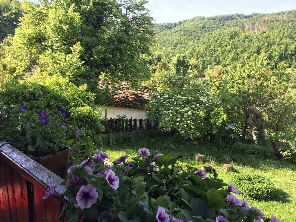 Stefanina Guesthouse Bozhentsi Exterior photo